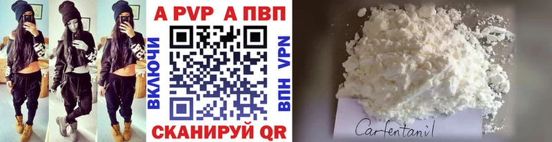 где найти   Зубцов  A PVP VHQ 