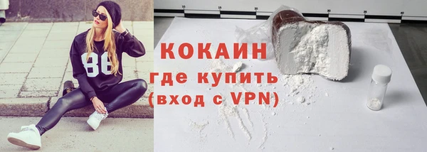стаф Гусев