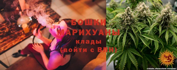 стаф Гусев