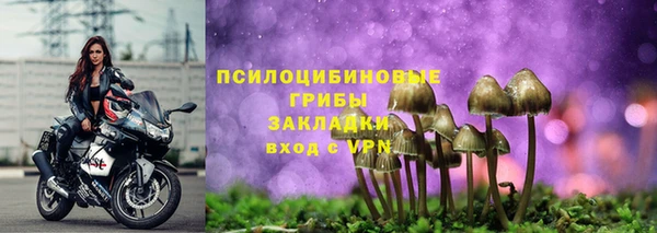 молекула духа Гусь-Хрустальный